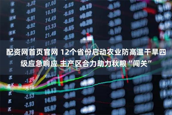 配资网首页官网 12个省份启动农业防高温干旱四级应急响应 主产区合力助力秋粮“闯关”