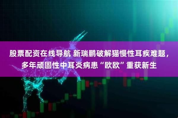 股票配资在线导航 新瑞鹏破解猫慢性耳疾难题,多年顽固性中耳炎病患“欧欧”重获新生