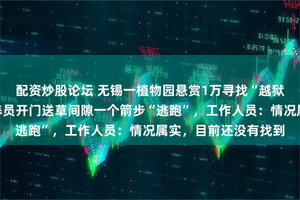 配资炒股论坛 无锡一植物园悬赏1万寻找“越狱”卡皮巴拉，其趁饲养员开门送草间隙一个箭步“逃跑”，工作人员：情况属实，目前还没有找到
