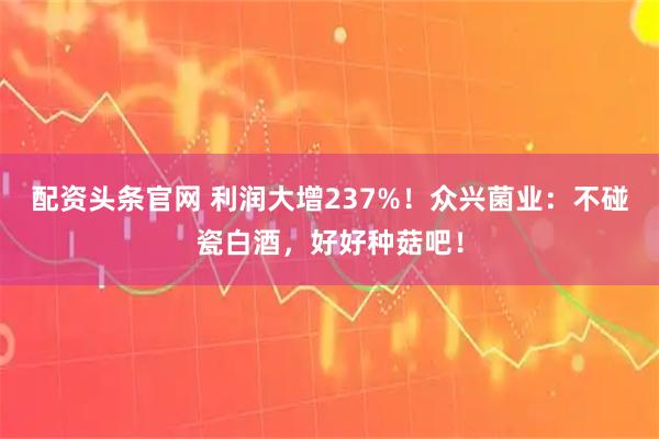 配资头条官网 利润大增237%！众兴菌业：不碰瓷白酒，好好种菇吧！